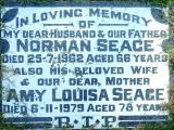 image of grave number 593937